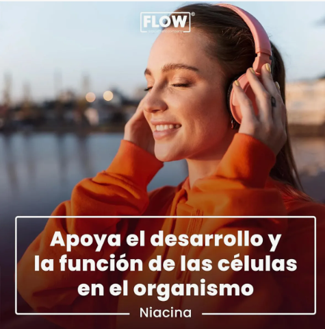 Niacina Vitamina B3 90 Cápsulas De 500 Mg Flow