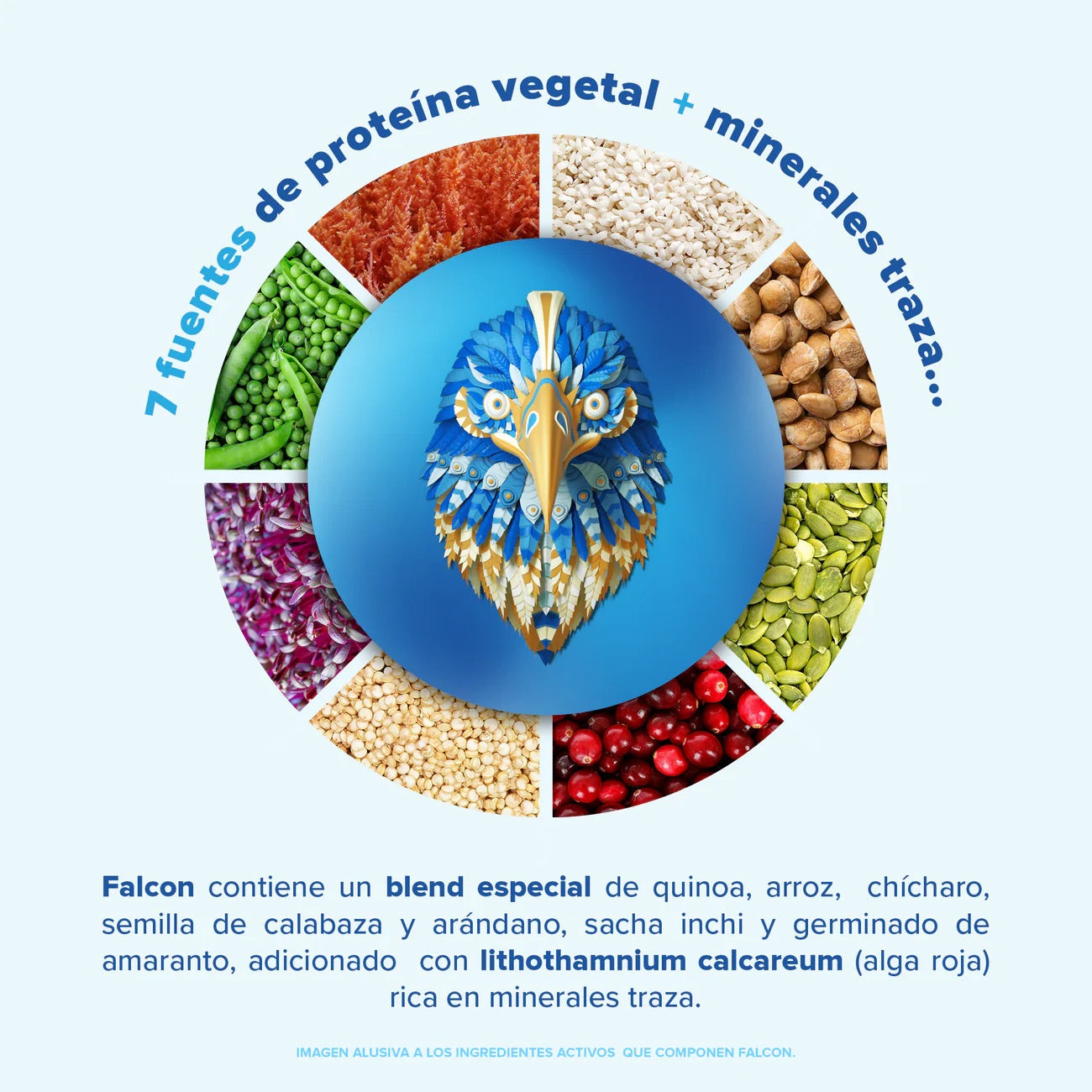 Birdman Falcon Protein Vainilla 1.17 kg - 39 Servicios | ¡PROMO! Envío Gratis |