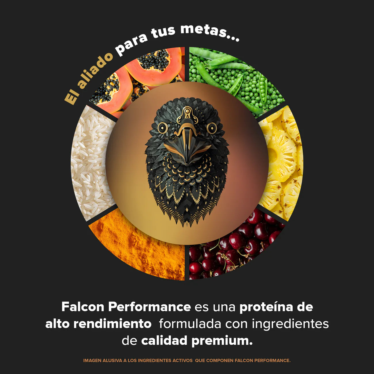 Birdman Falcon Performance Vainilla 1.9 kg - 45 Servicios | ¡PROMO! Envío Gratis |