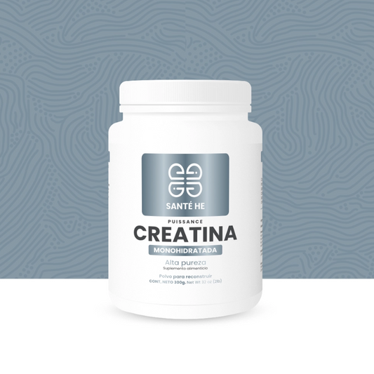 CREATINA SANTEHE 300 gr 60 porciones