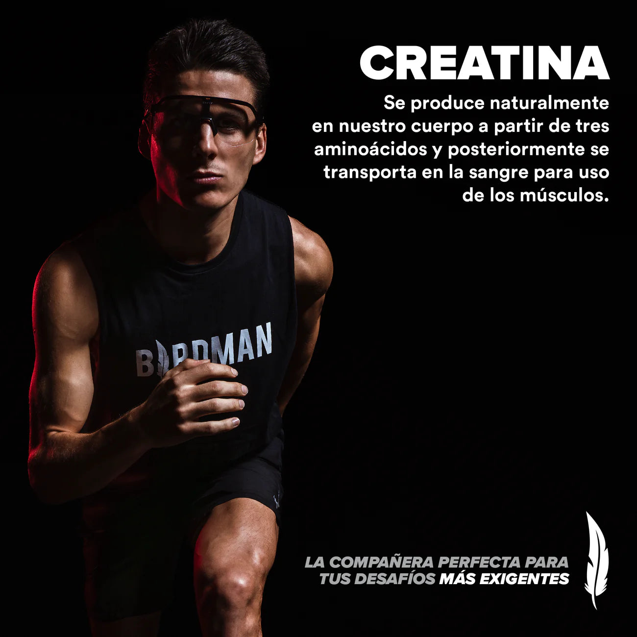 Birdman Creatina Monohidratada 450 g - 90 Servicios